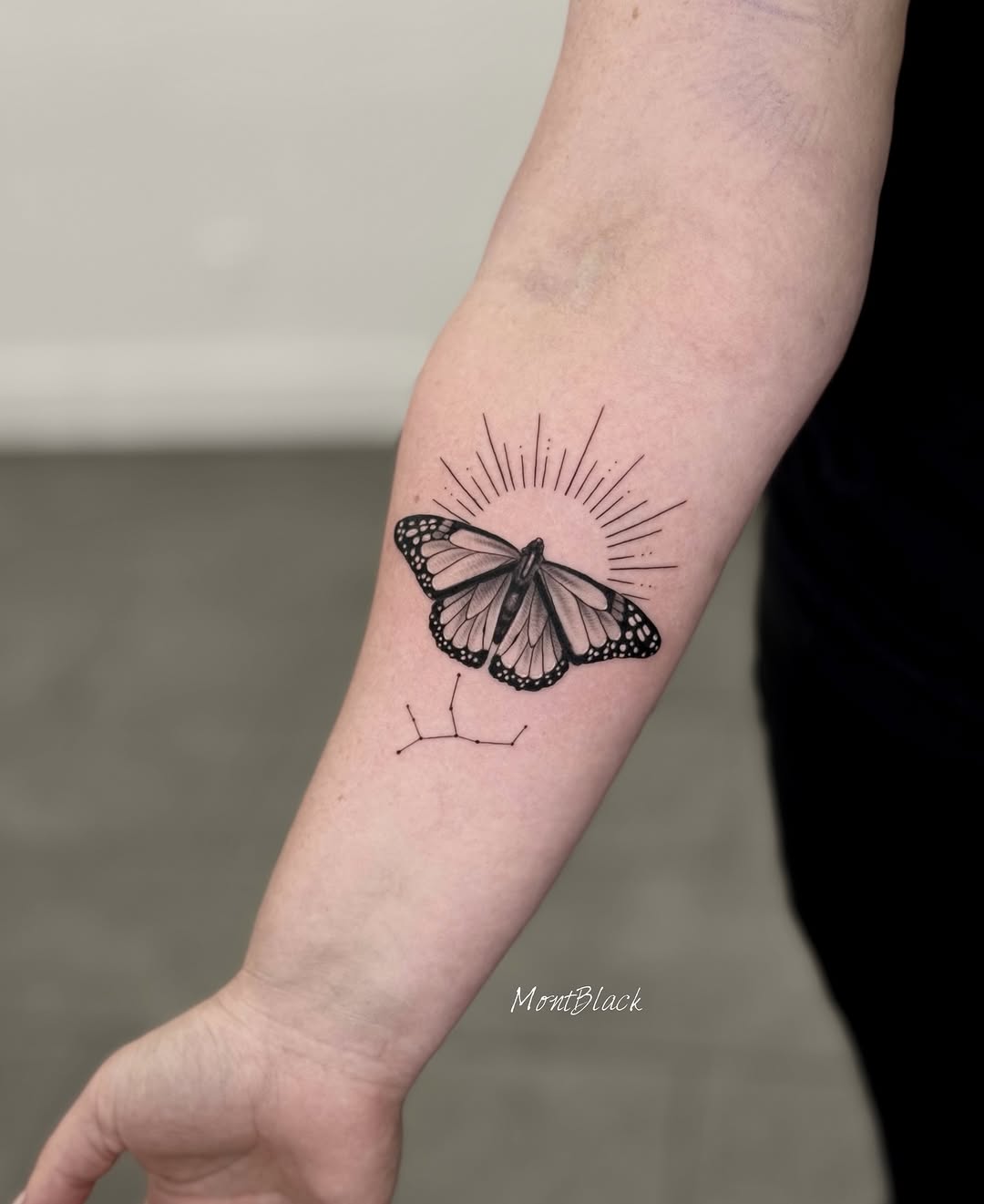 Animal, Nature