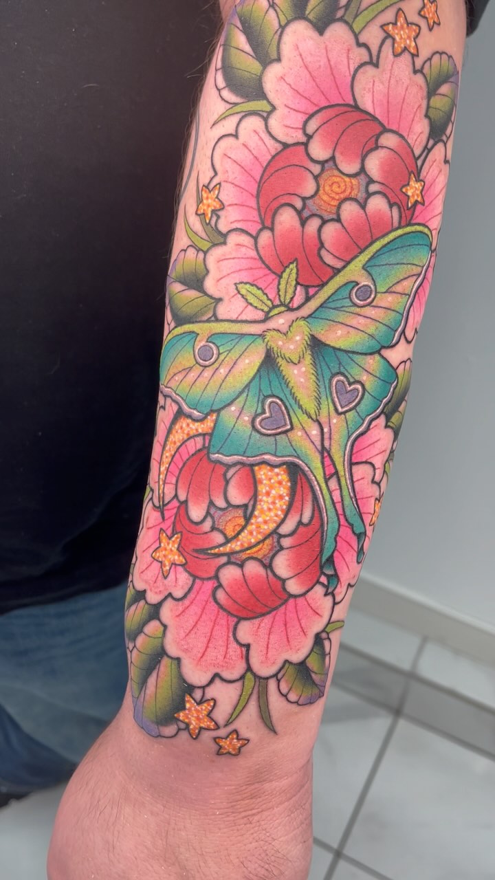 Animal, Nature
