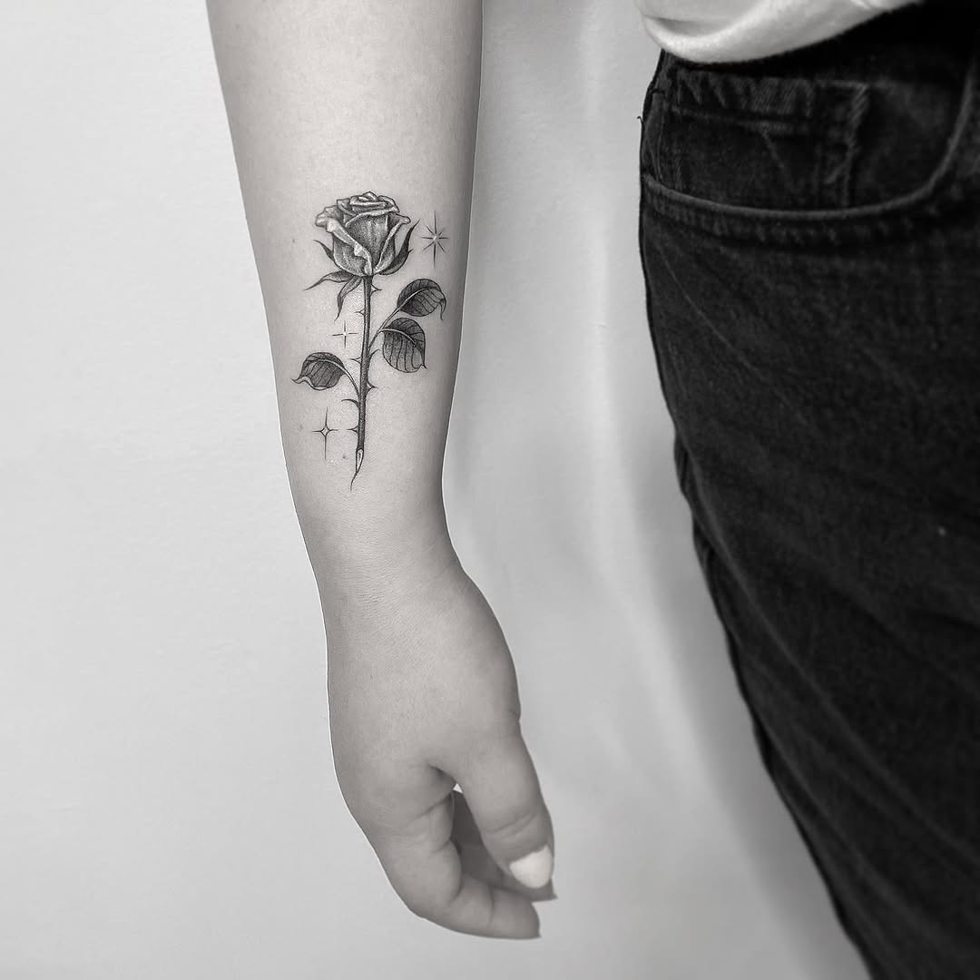 Flower, Rose