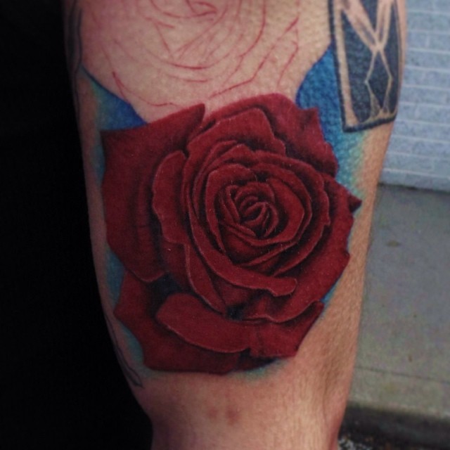 Flower, Rose