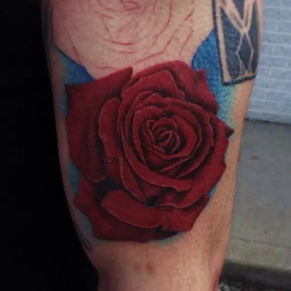 Flower, Rose