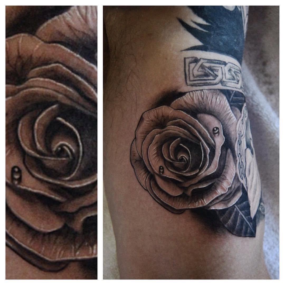 Flower, Rose