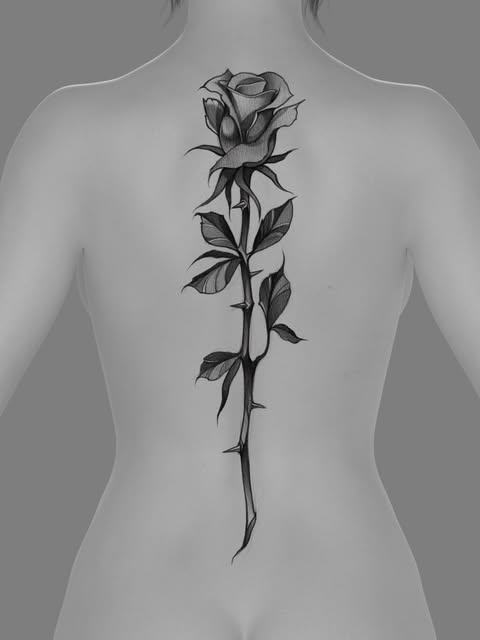 Flower, Rose