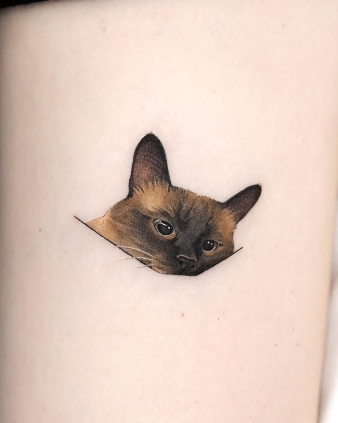 dorok.tattoo
