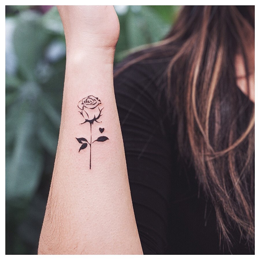 Flower, Rose