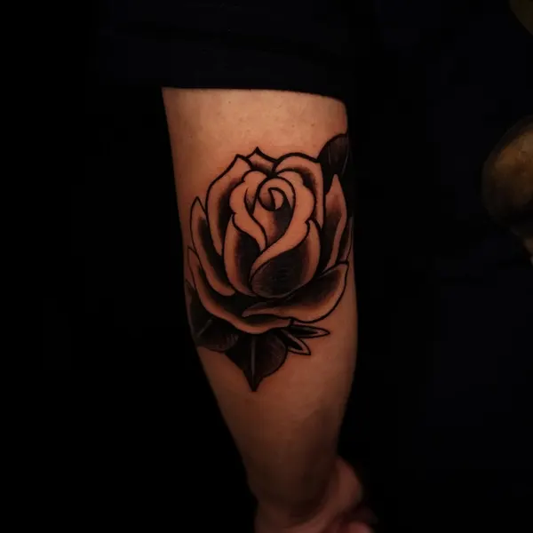 Rose, Flower