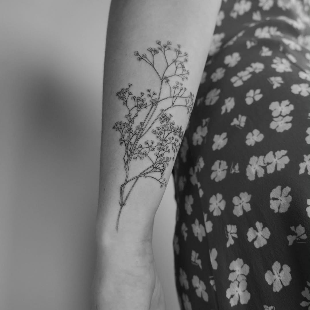 Rose, Flower