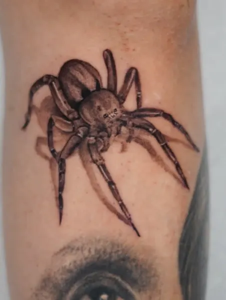 Animal