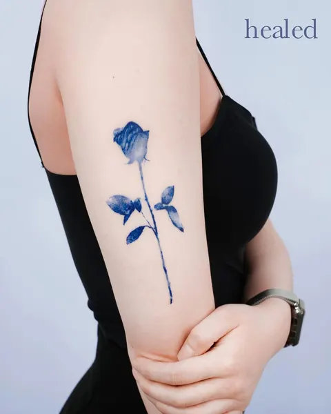 Flower, Rose, Nature