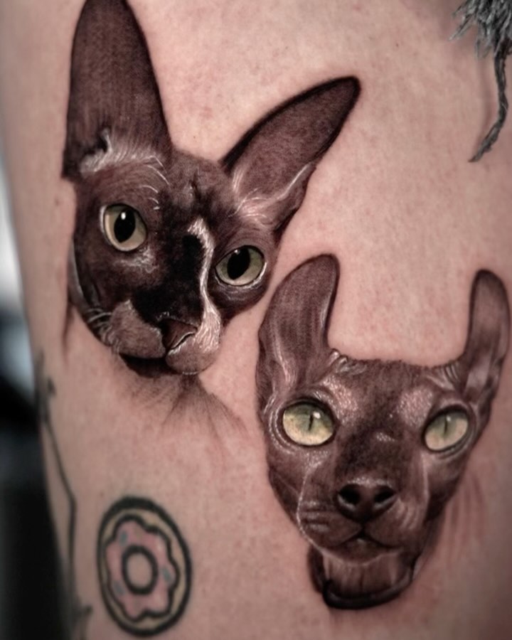 Animal