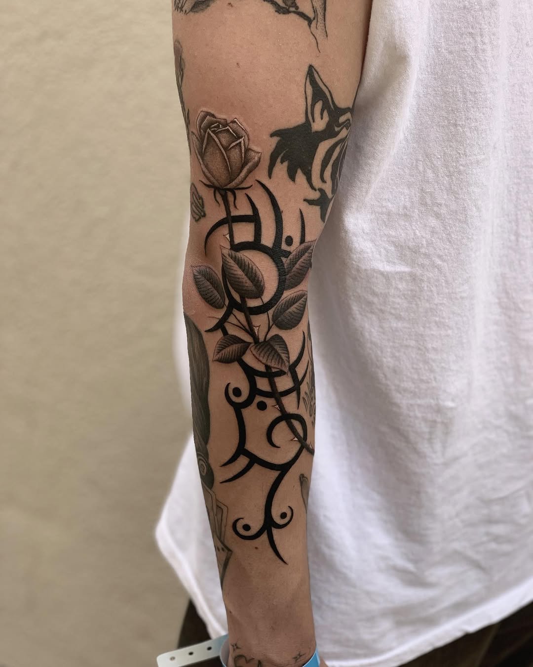 Flower, Rose