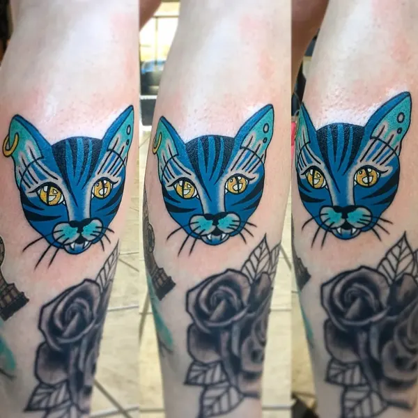 Animal, Tiger