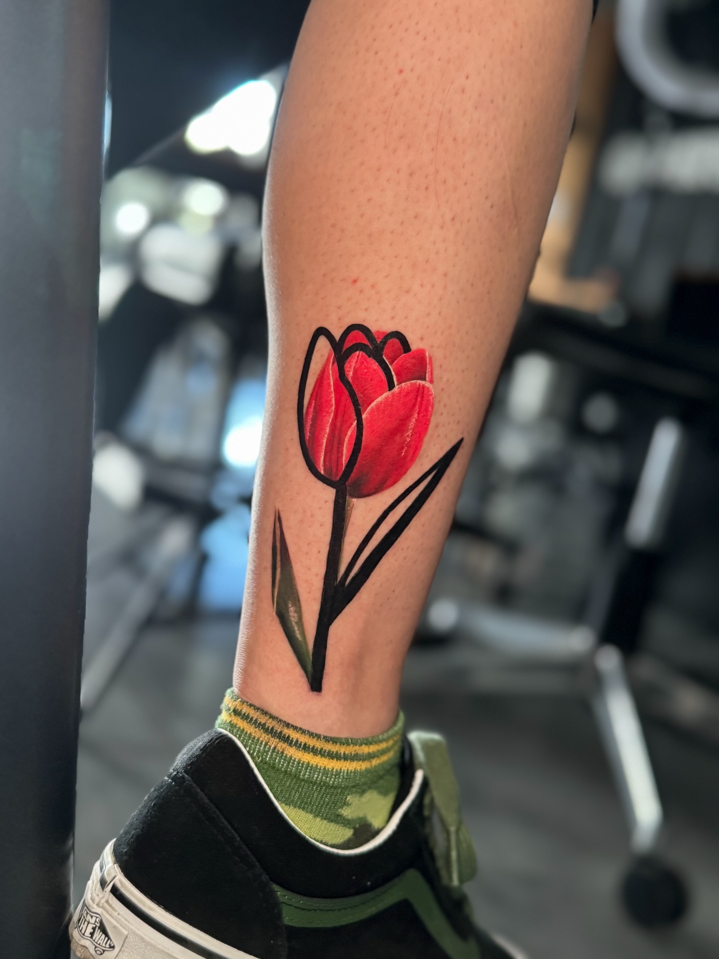 Flower, 튤립