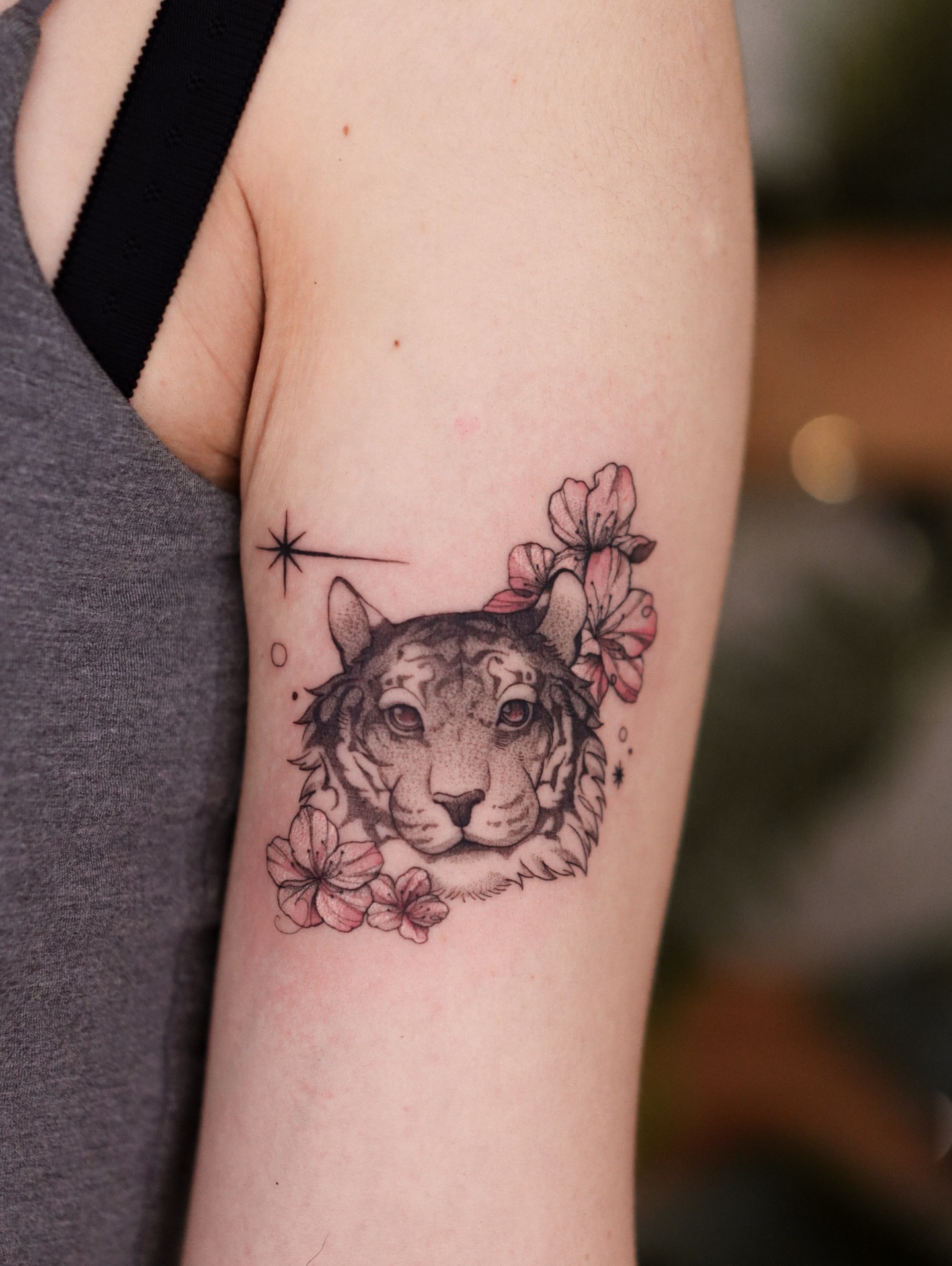 Tiger