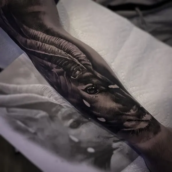 Snake