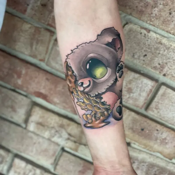 곰, 너구리, 판다, 코알라