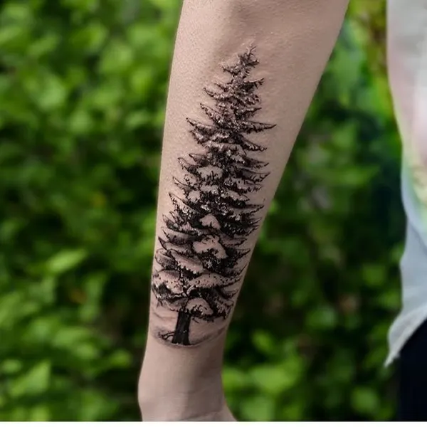 Nature