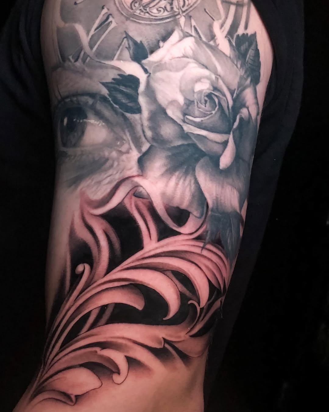 Flower, Rose
