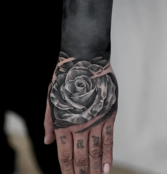 Flower, Rose