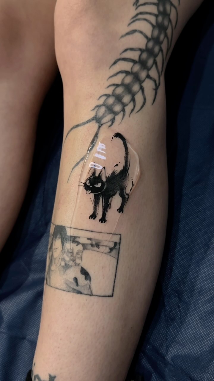 Animal