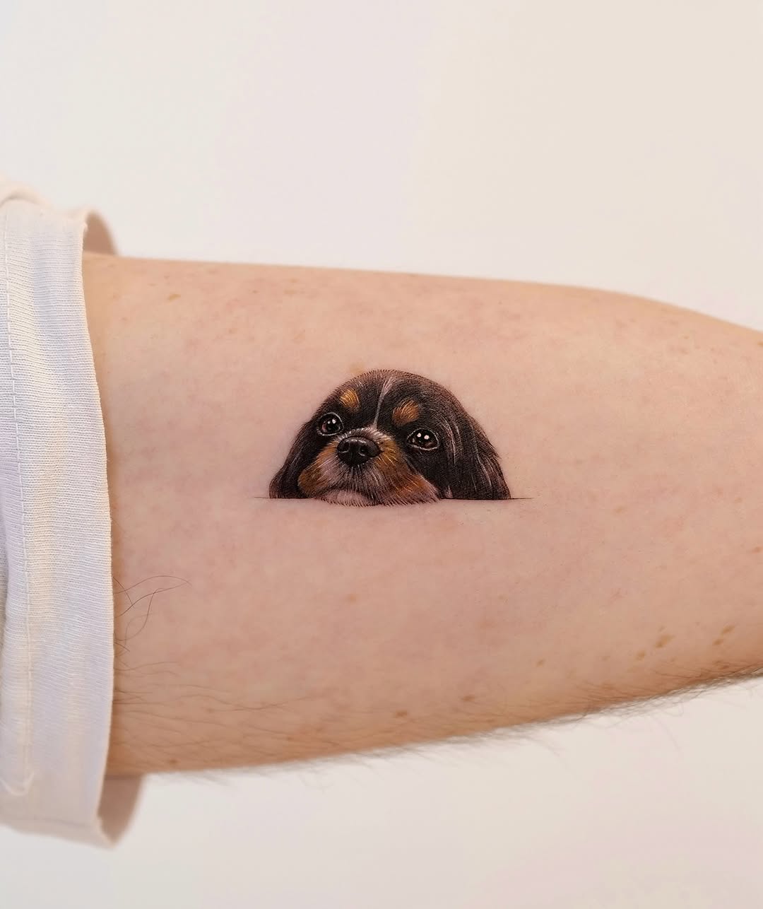 paw.tattoo