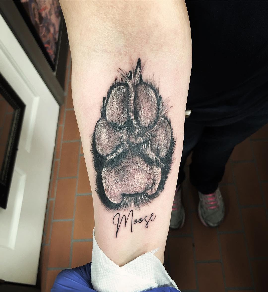 Animal