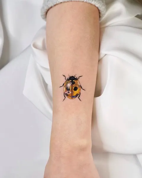 Animal, Nature, 잠자리, 매미