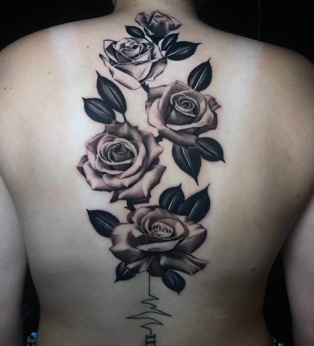 Flower, Rose, Nature