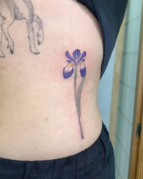 백합, Flower, 난초, 아이리스