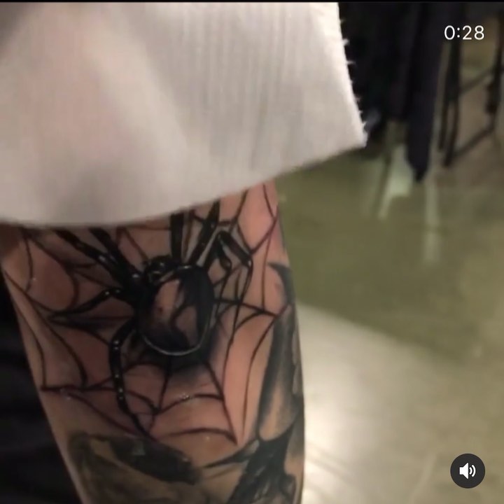 Animal