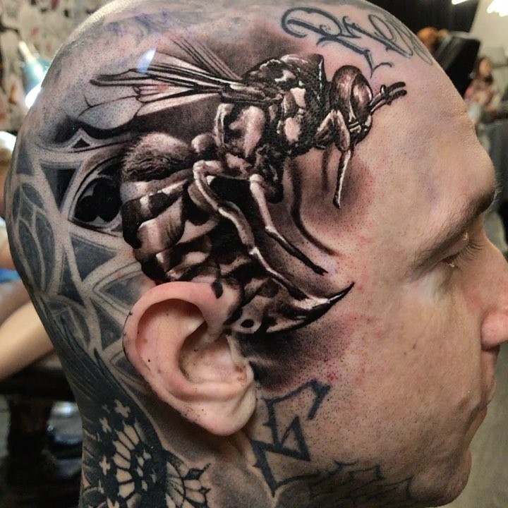 Animal