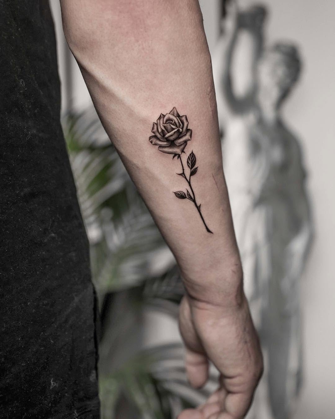 Flower, Rose