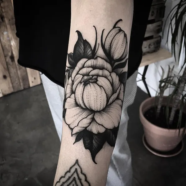 Flower, Rose