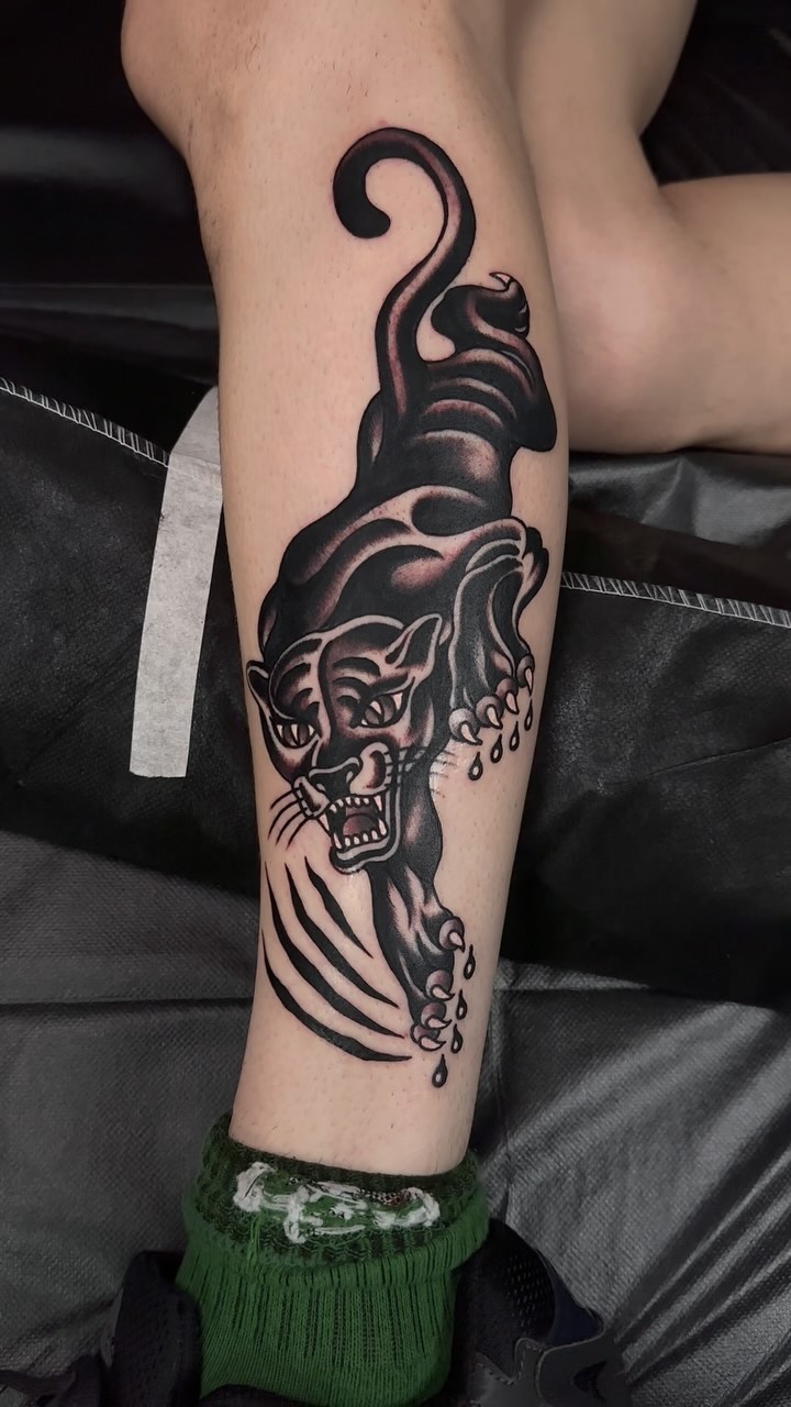 Tiger, Animal