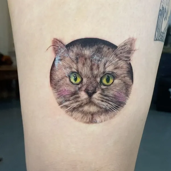 Animal