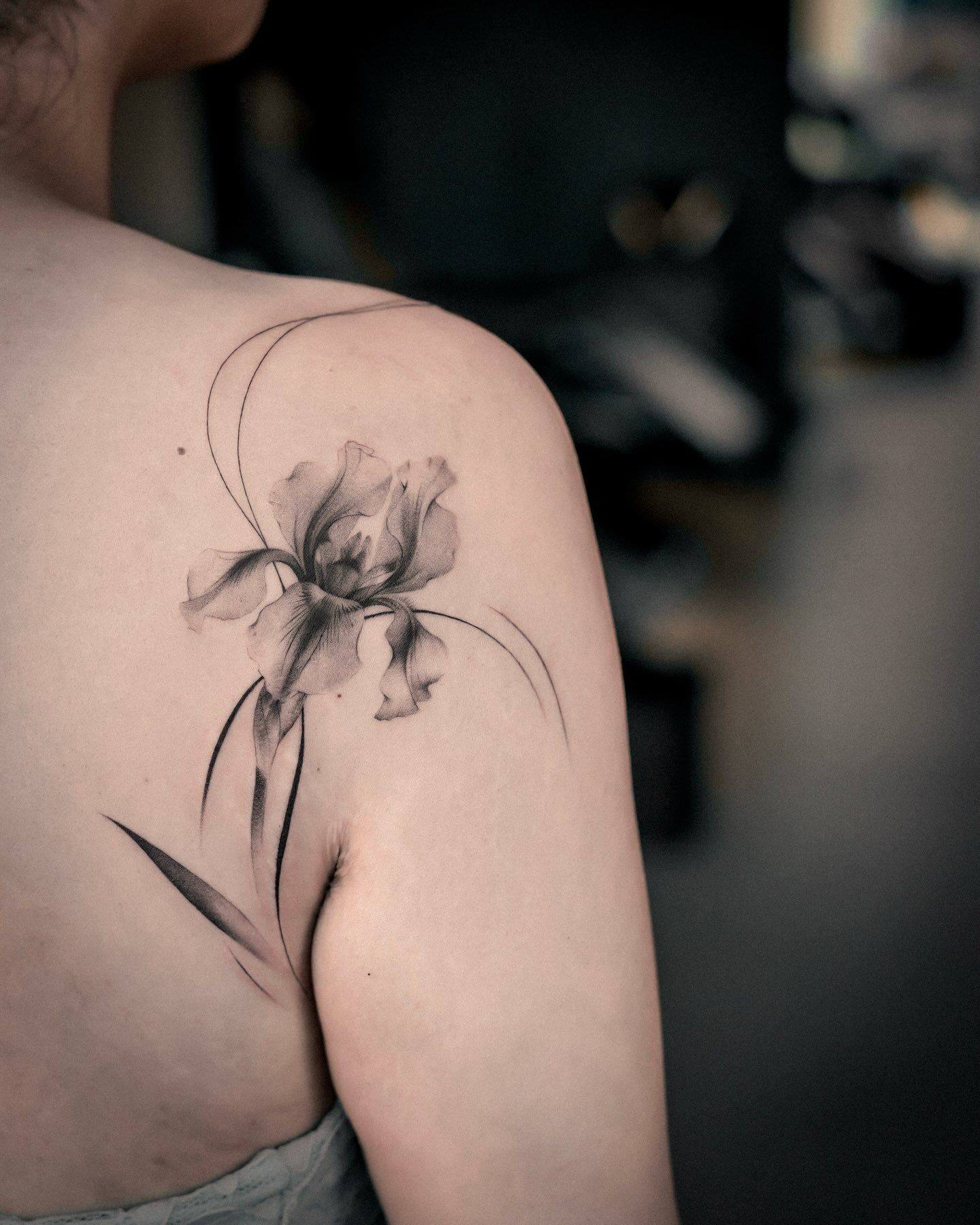 Flower, 난초, 아이리스