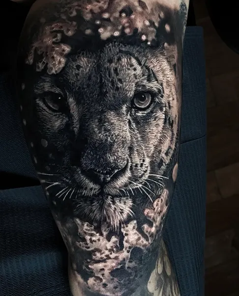 Animal