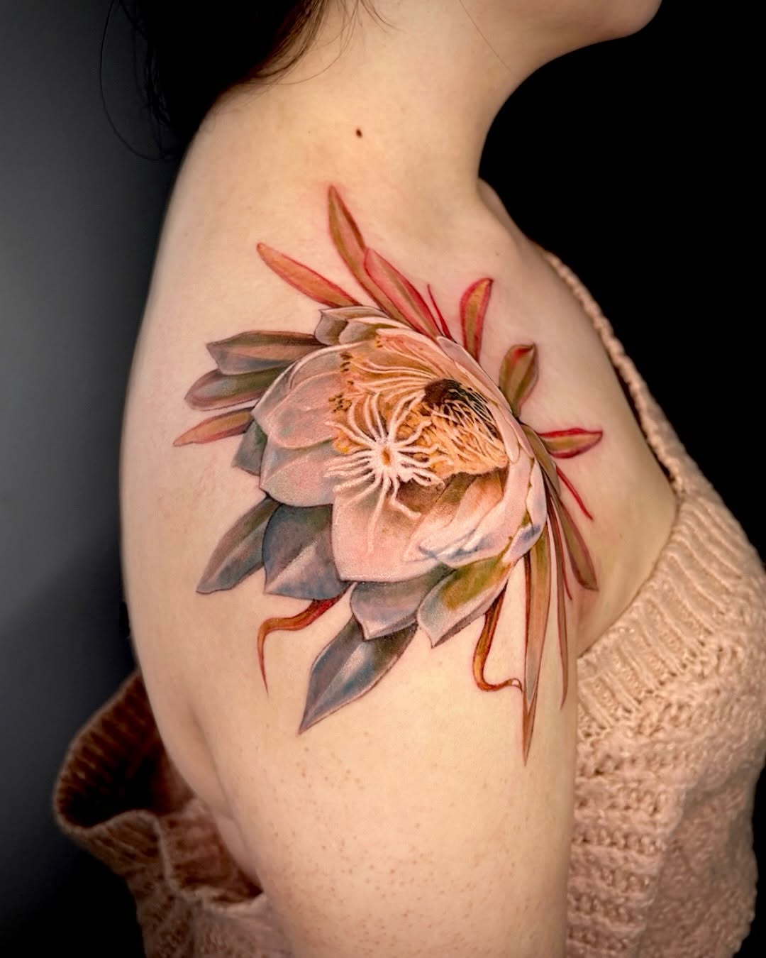 Flower, Rose, Nature