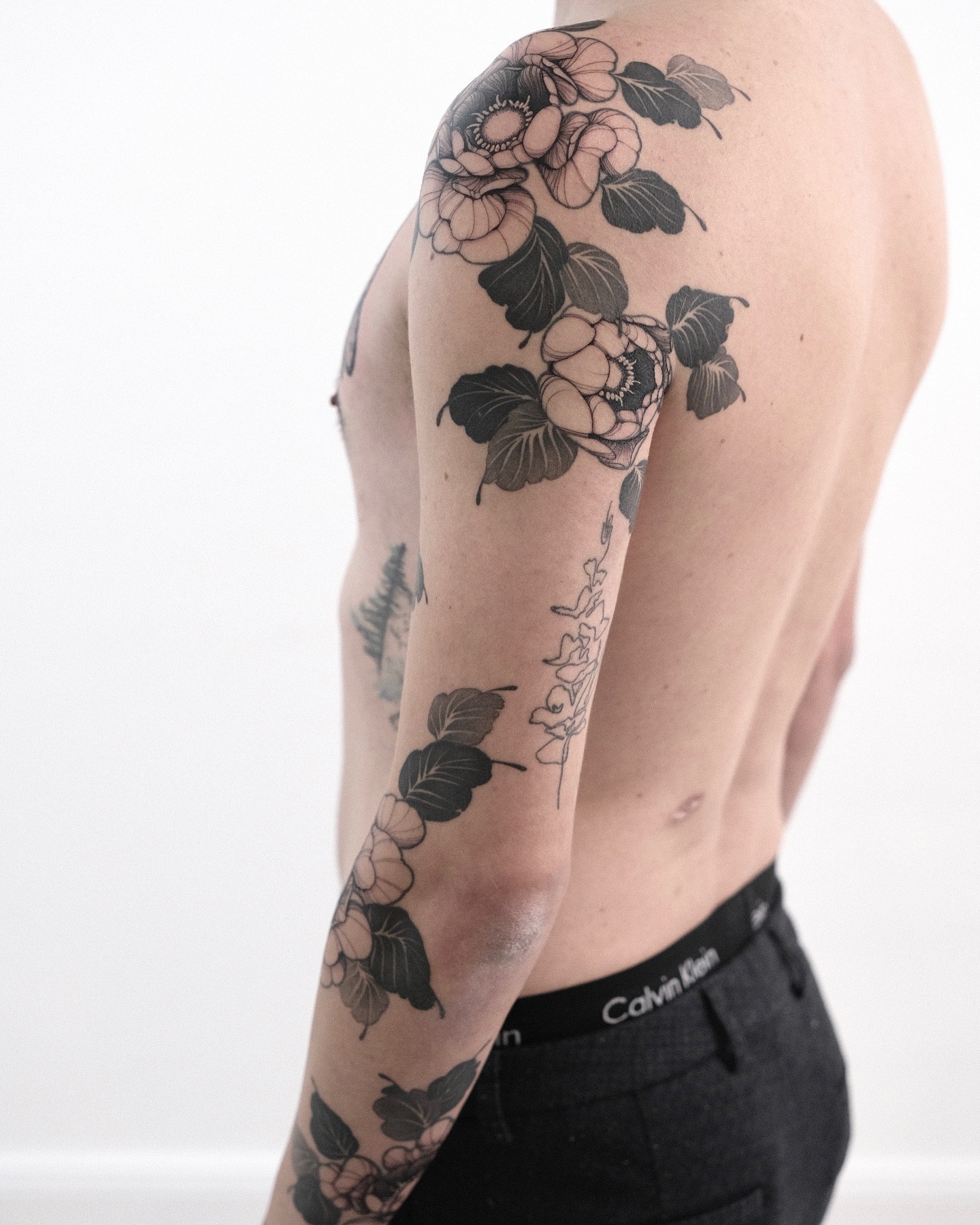 Flower, Rose, Nature