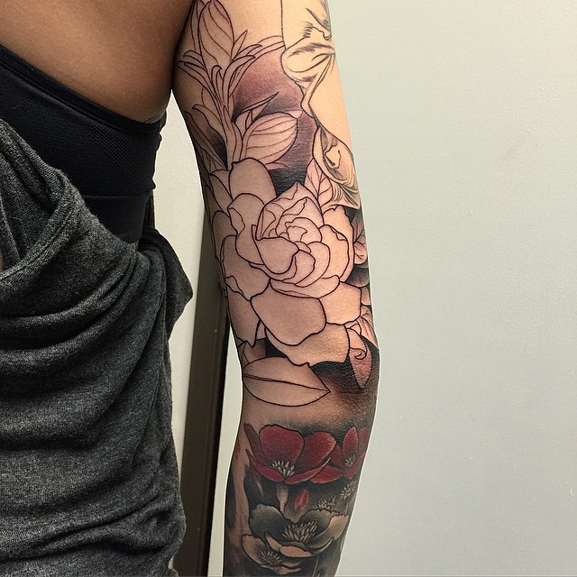 Flower, Rose