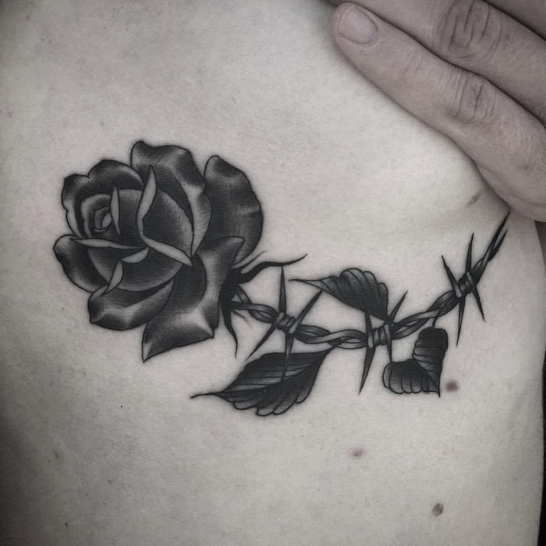 Flower, Rose, Nature