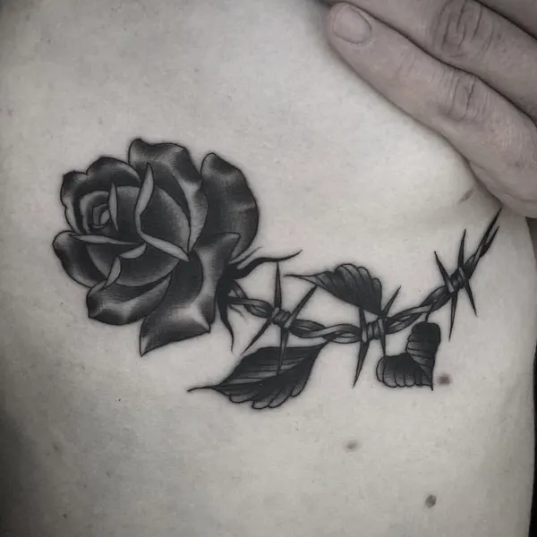 Flower, Rose, Nature