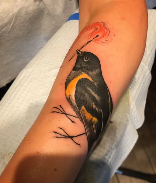 Animal