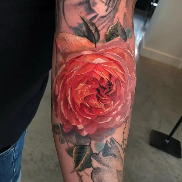 Flower, Rose