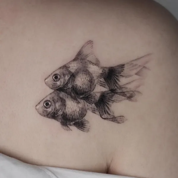 Animal, 물고기