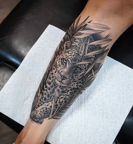 Tiger, Animal