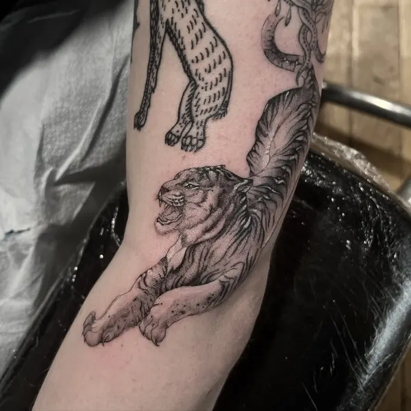 Tiger