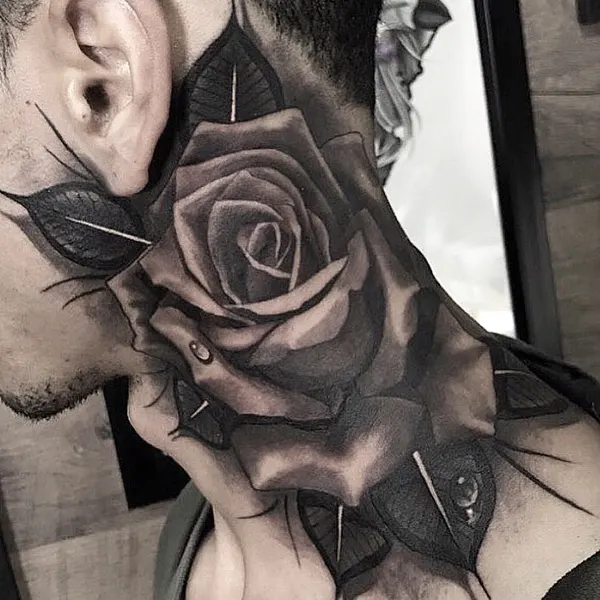 Flower, Rose, Nature