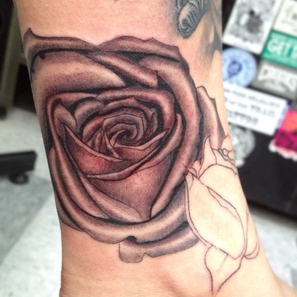 Flower, Rose