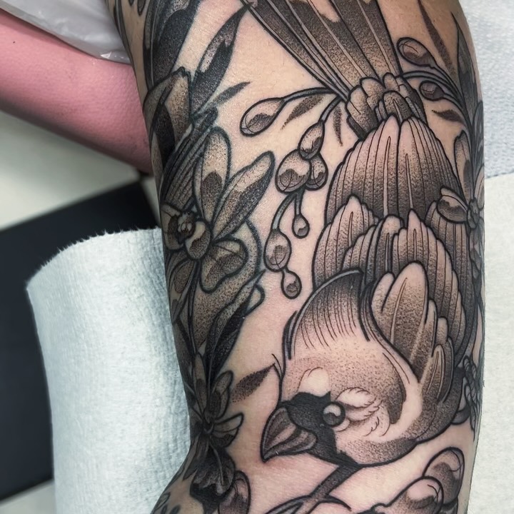 sarastigmata